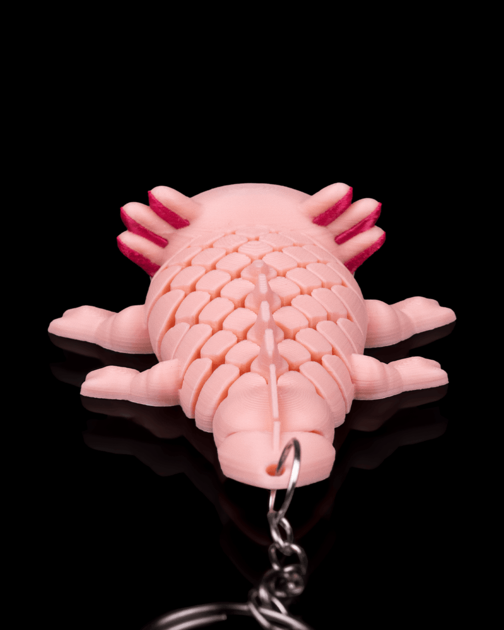 Ashley, the Axolotl