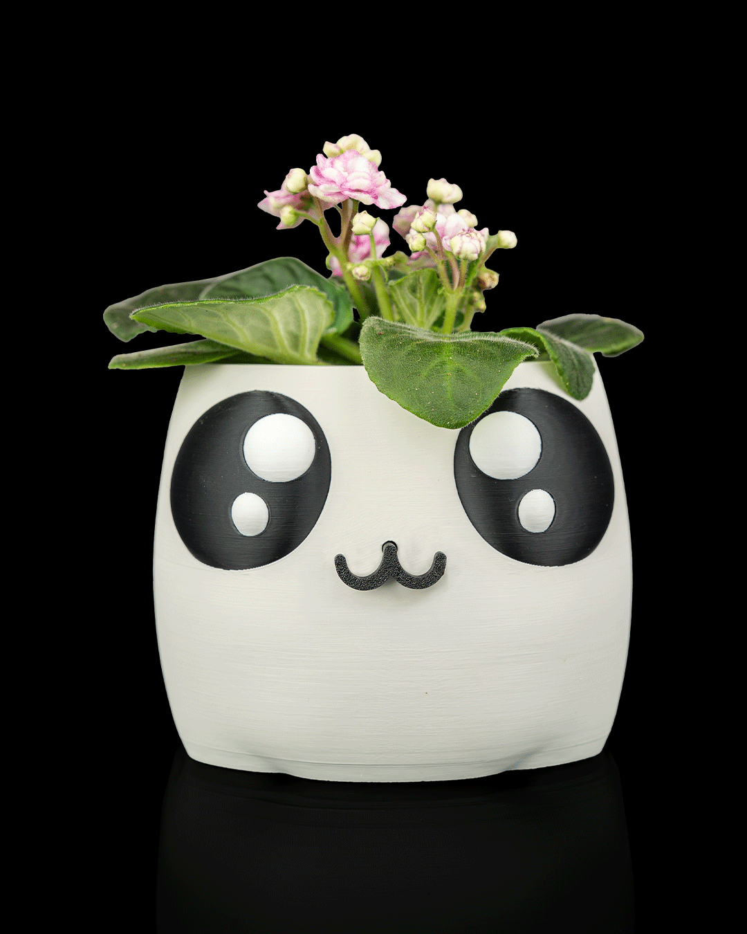 Bloop Face - Planter