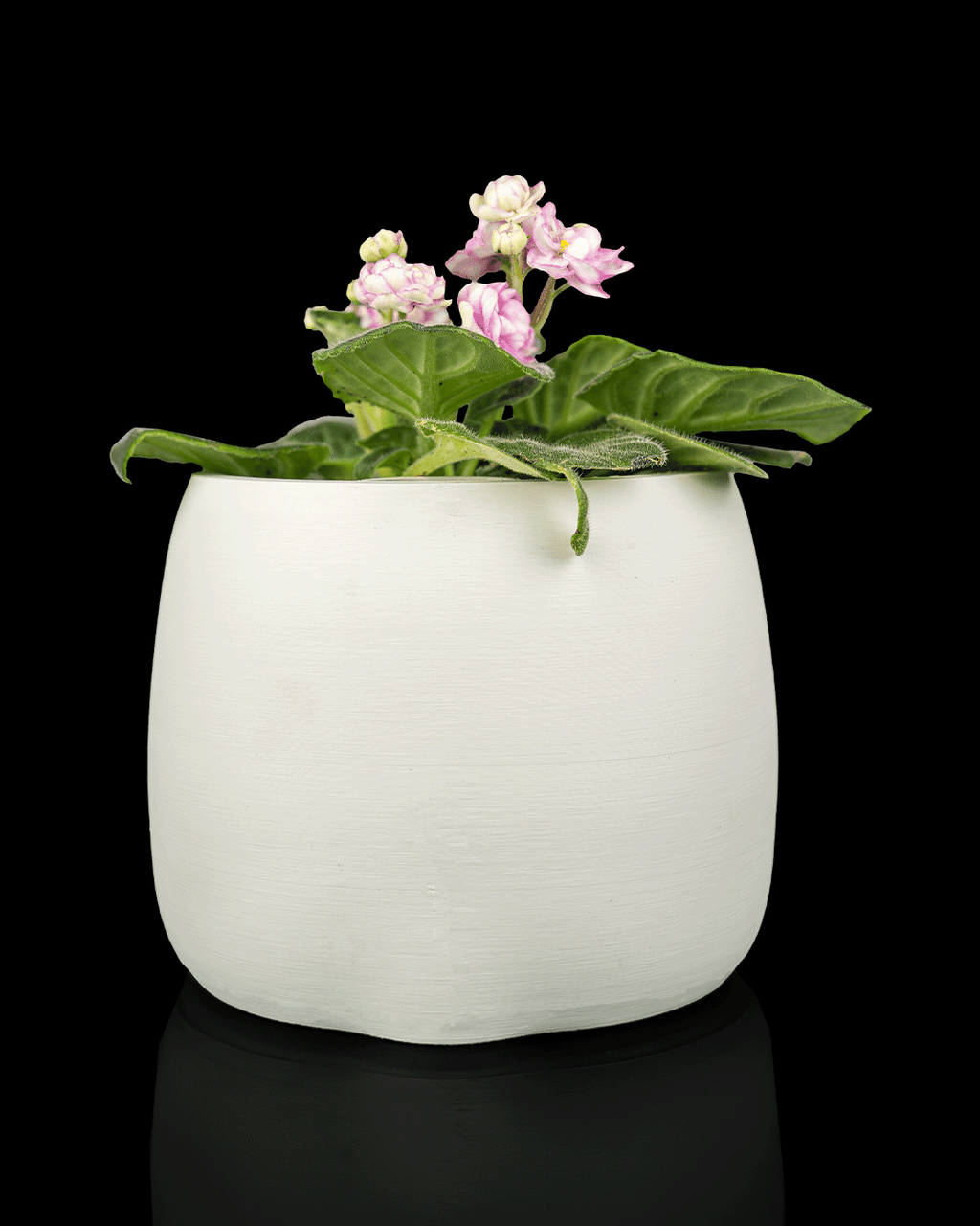 Bloop Face - Planter