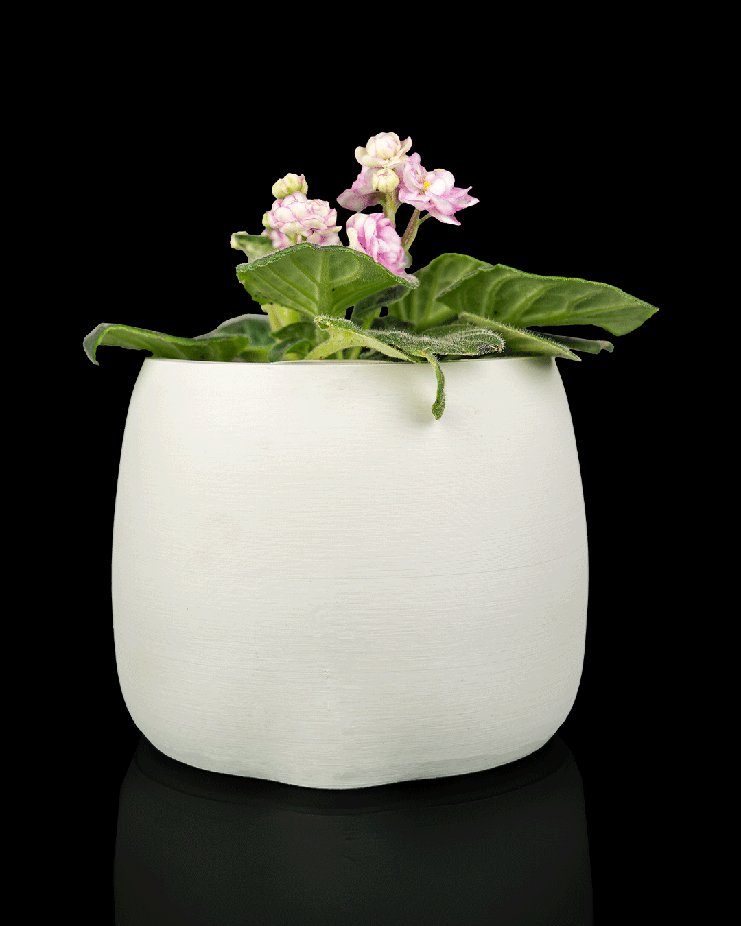 Bloop Face - Planter