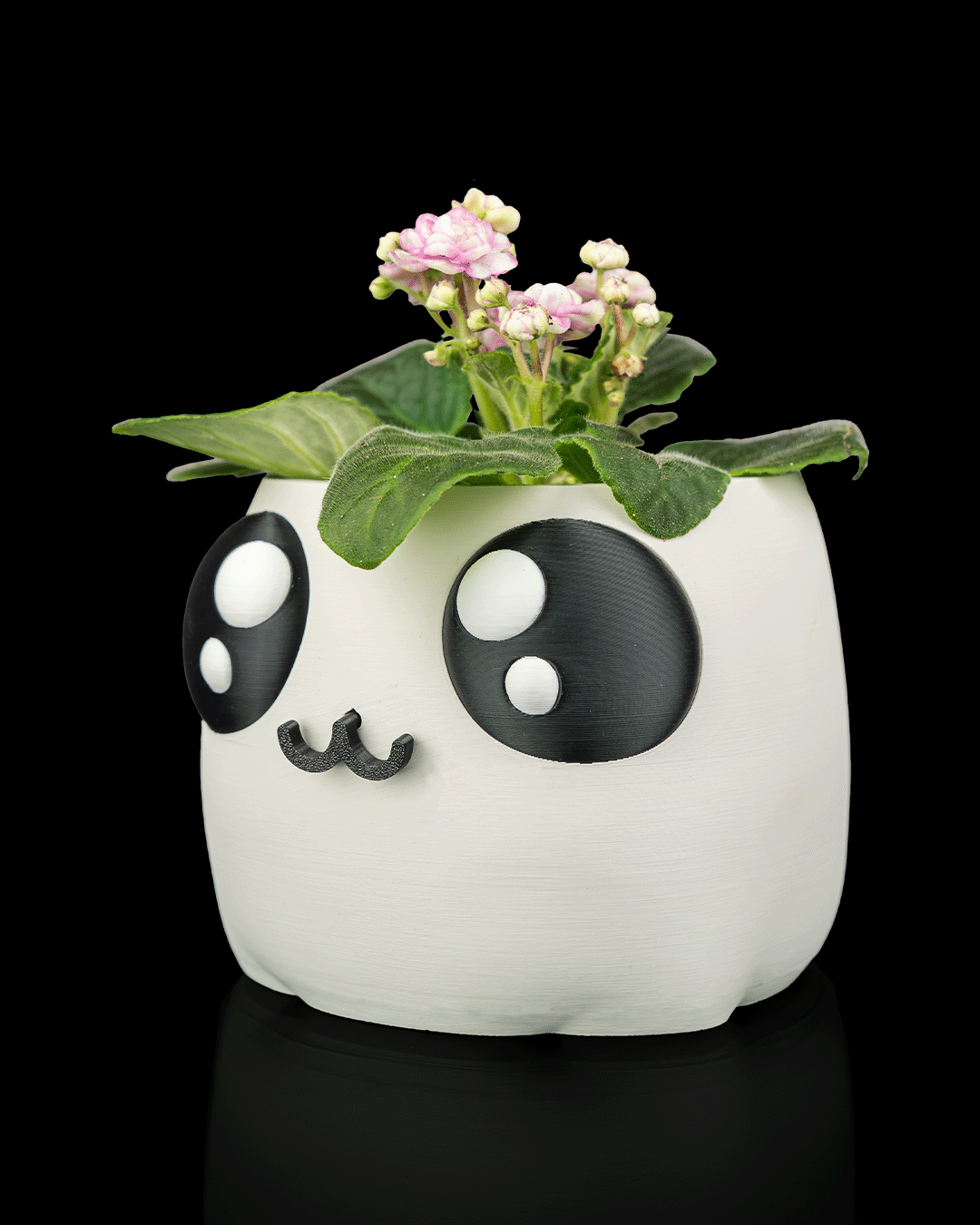 Bloop Face - Planter