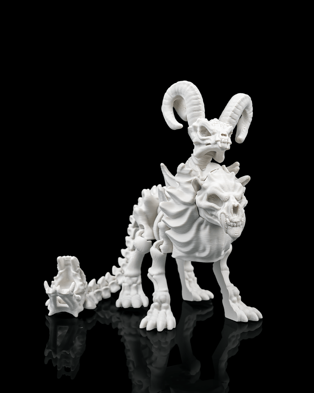 Chimera Skeleton