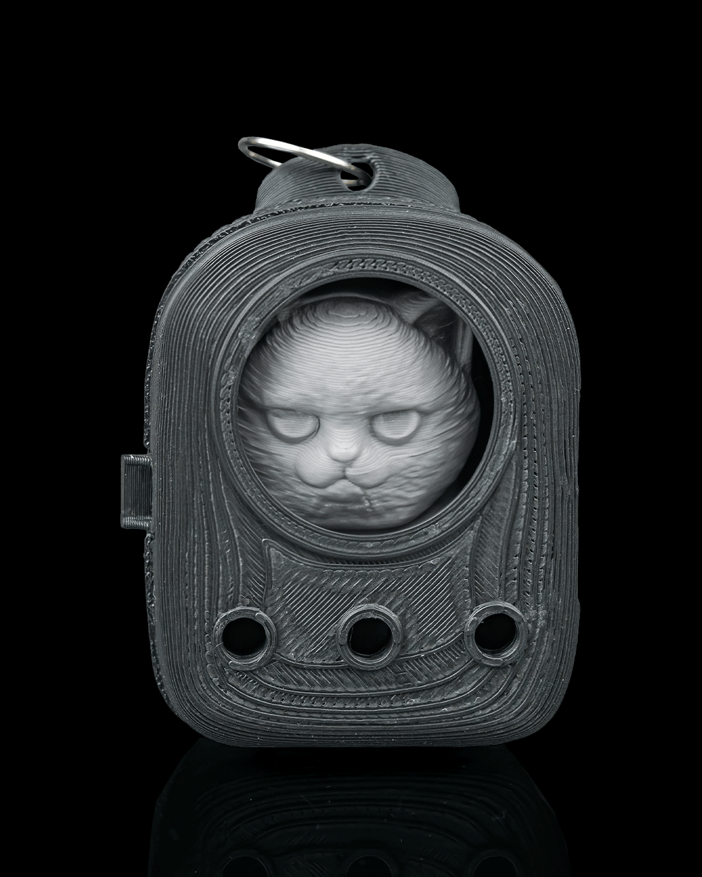 Everyday Pack - British Shorthair