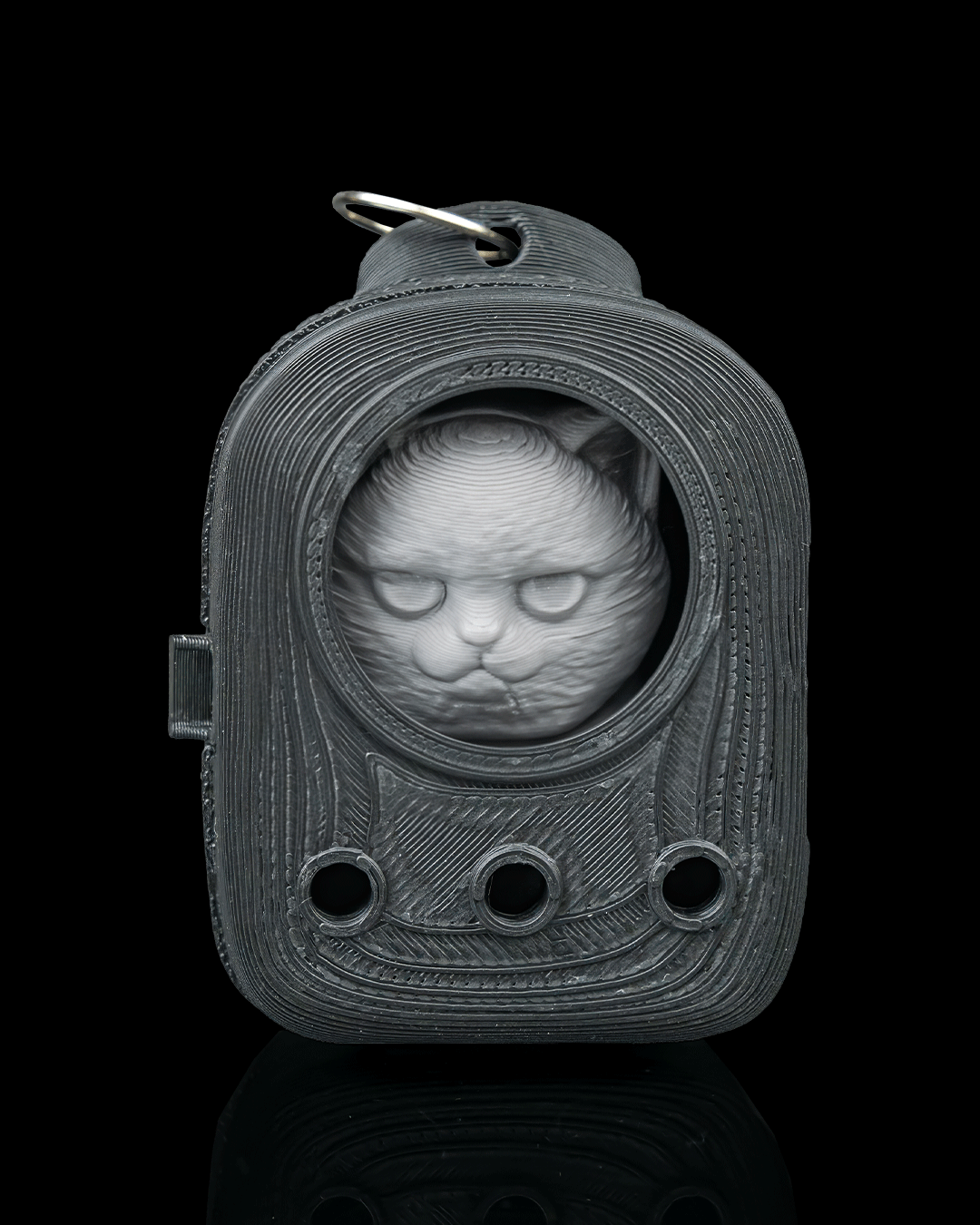 Everyday Pack - British Shorthair