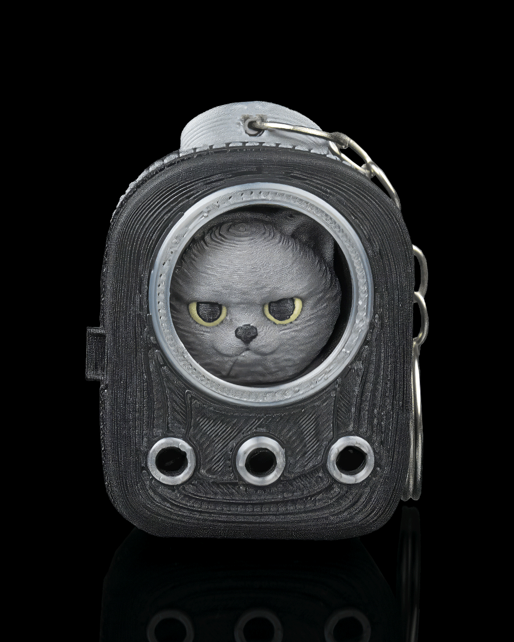 Everyday Pack - British Shorthair