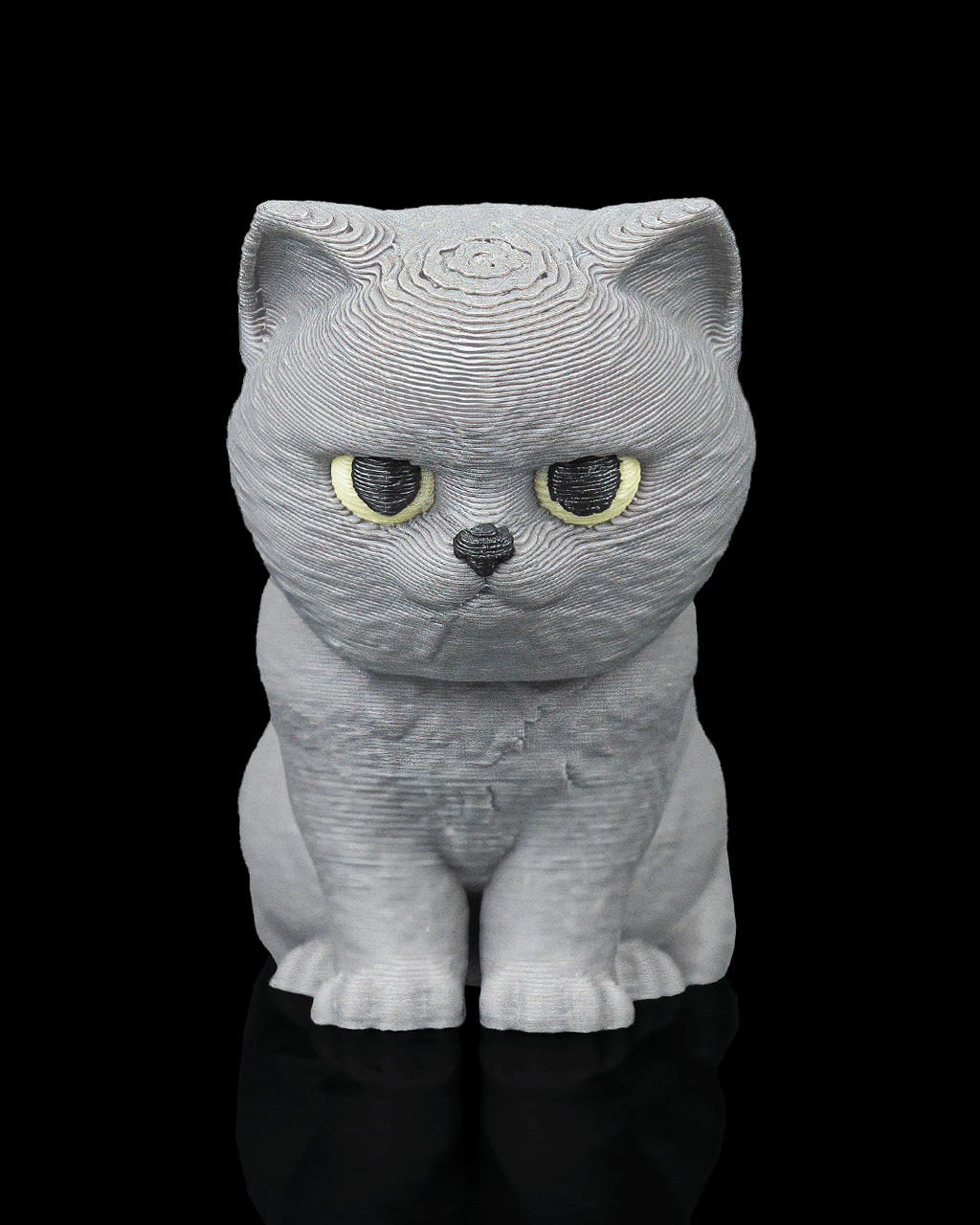 Everyday Pack - British Shorthair