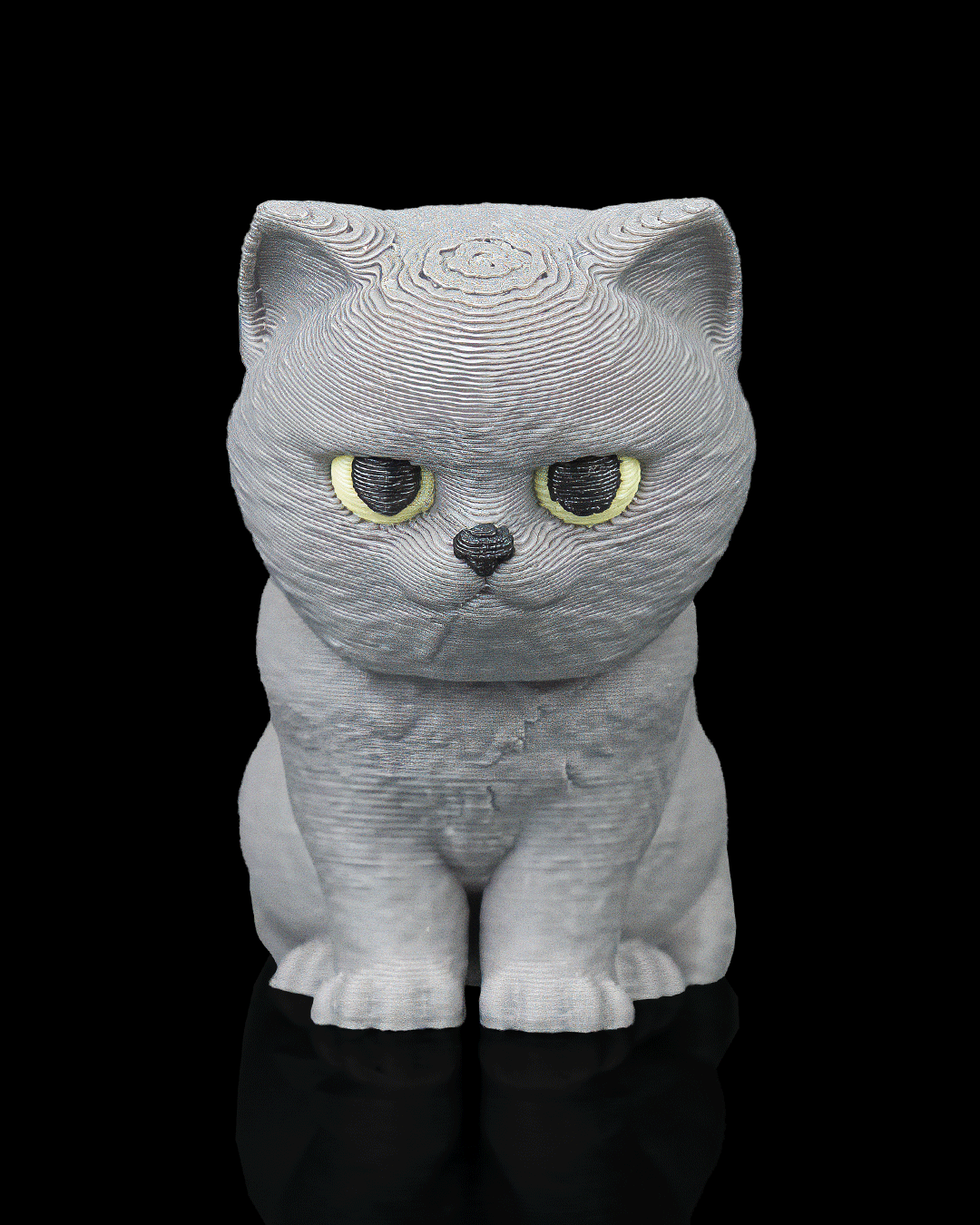 Everyday Pack - British Shorthair