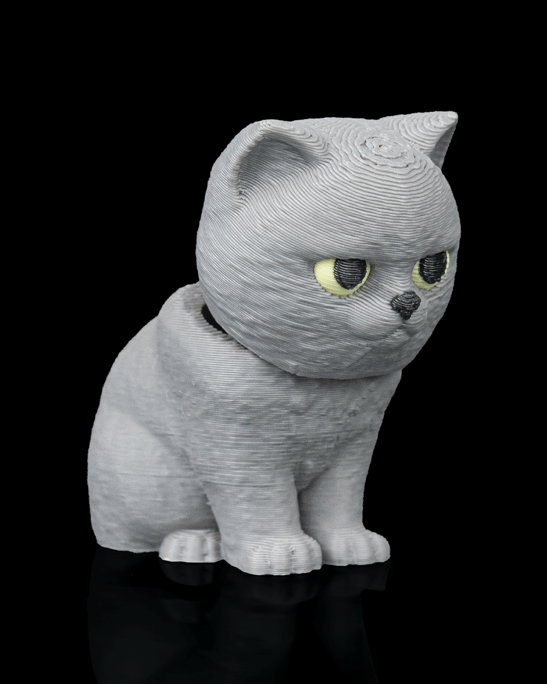 Everyday Pack - British Shorthair