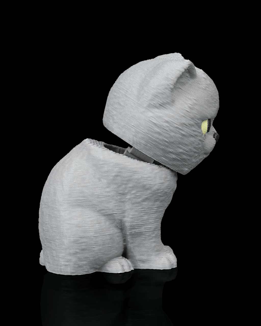 Everyday Pack - British Shorthair