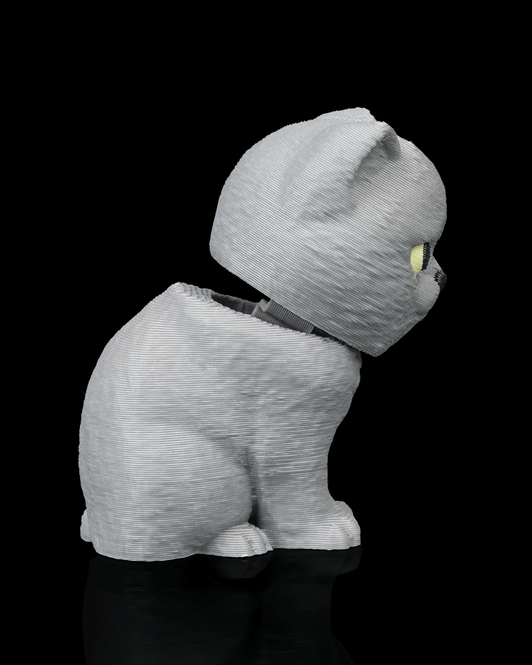 Everyday Pack - British Shorthair
