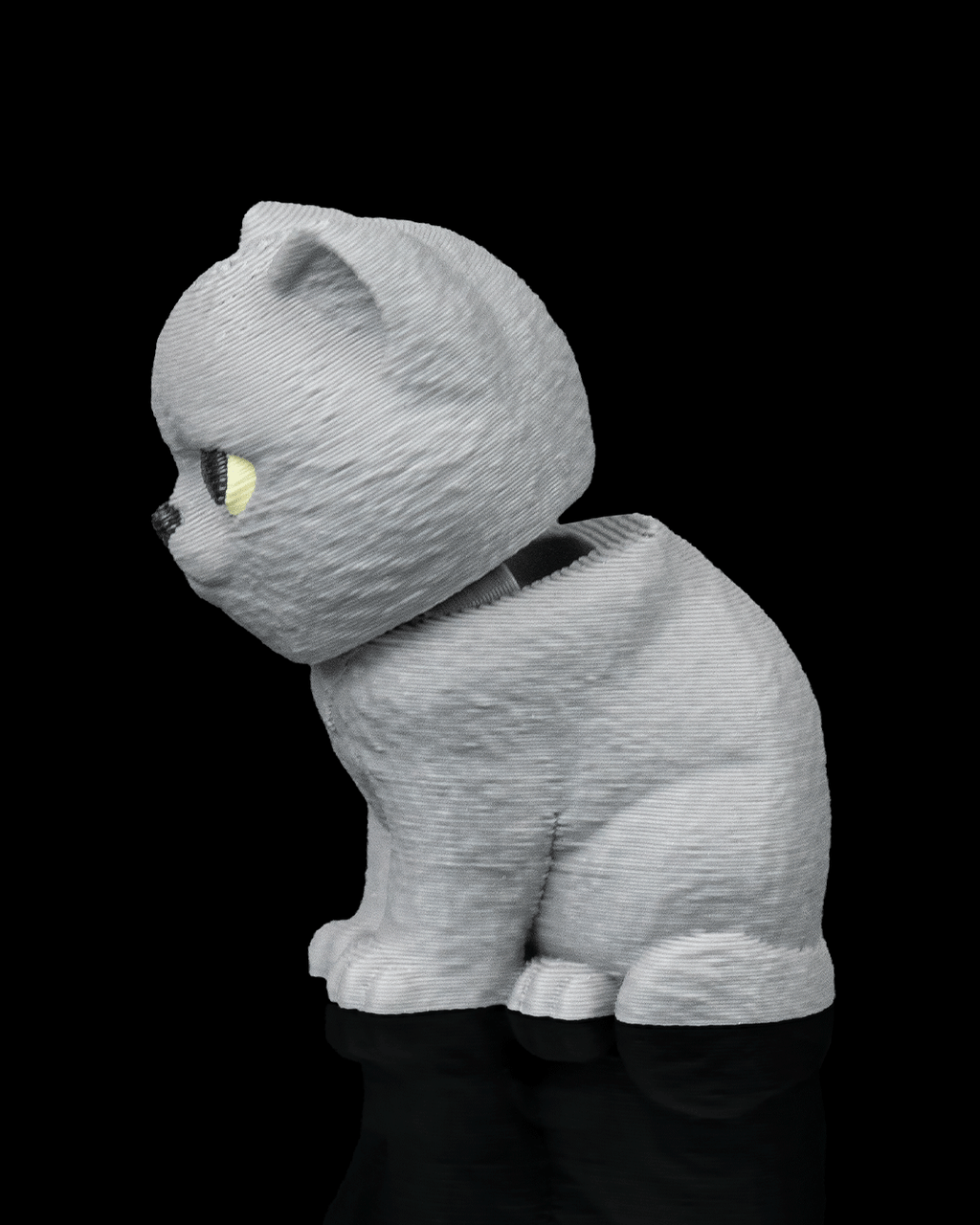 Everyday Pack - British Shorthair