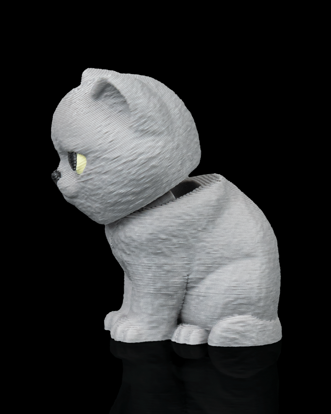 Everyday Pack - British Shorthair