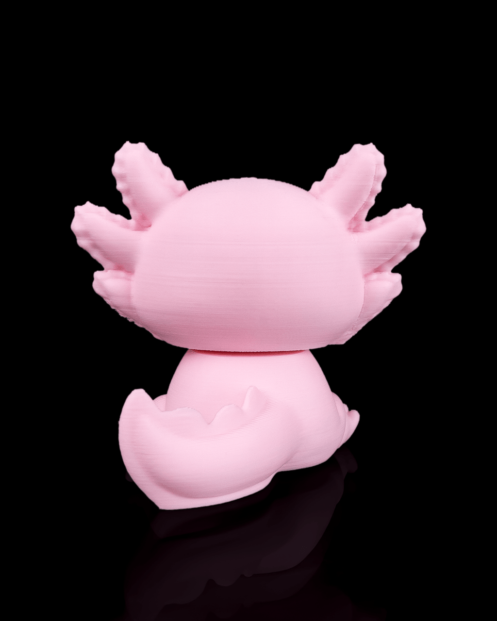 Grumpy Axolotl