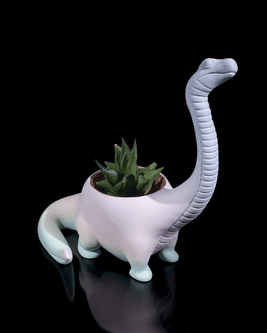 Herbivore Planter - Front