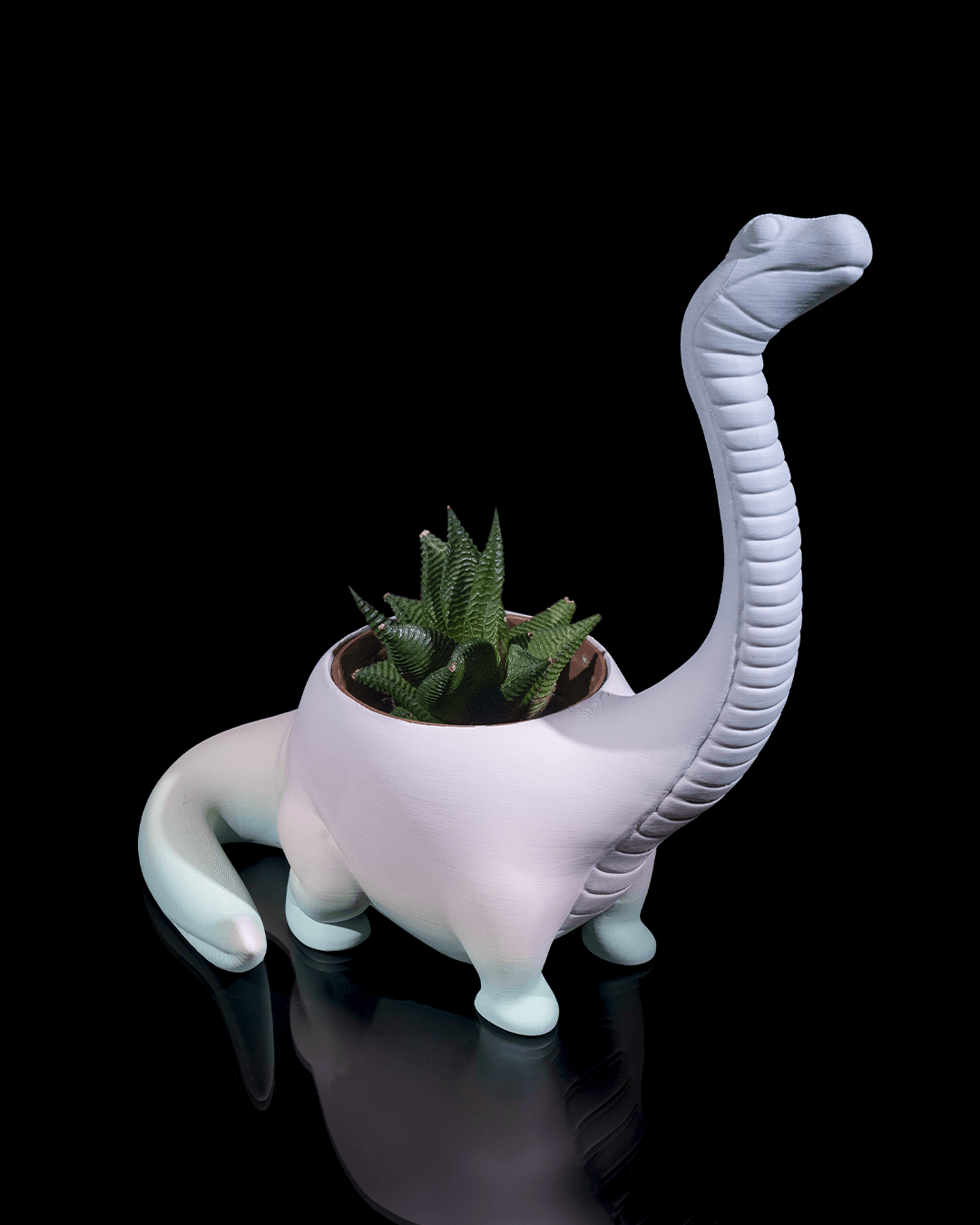Herbivore Planter - Front