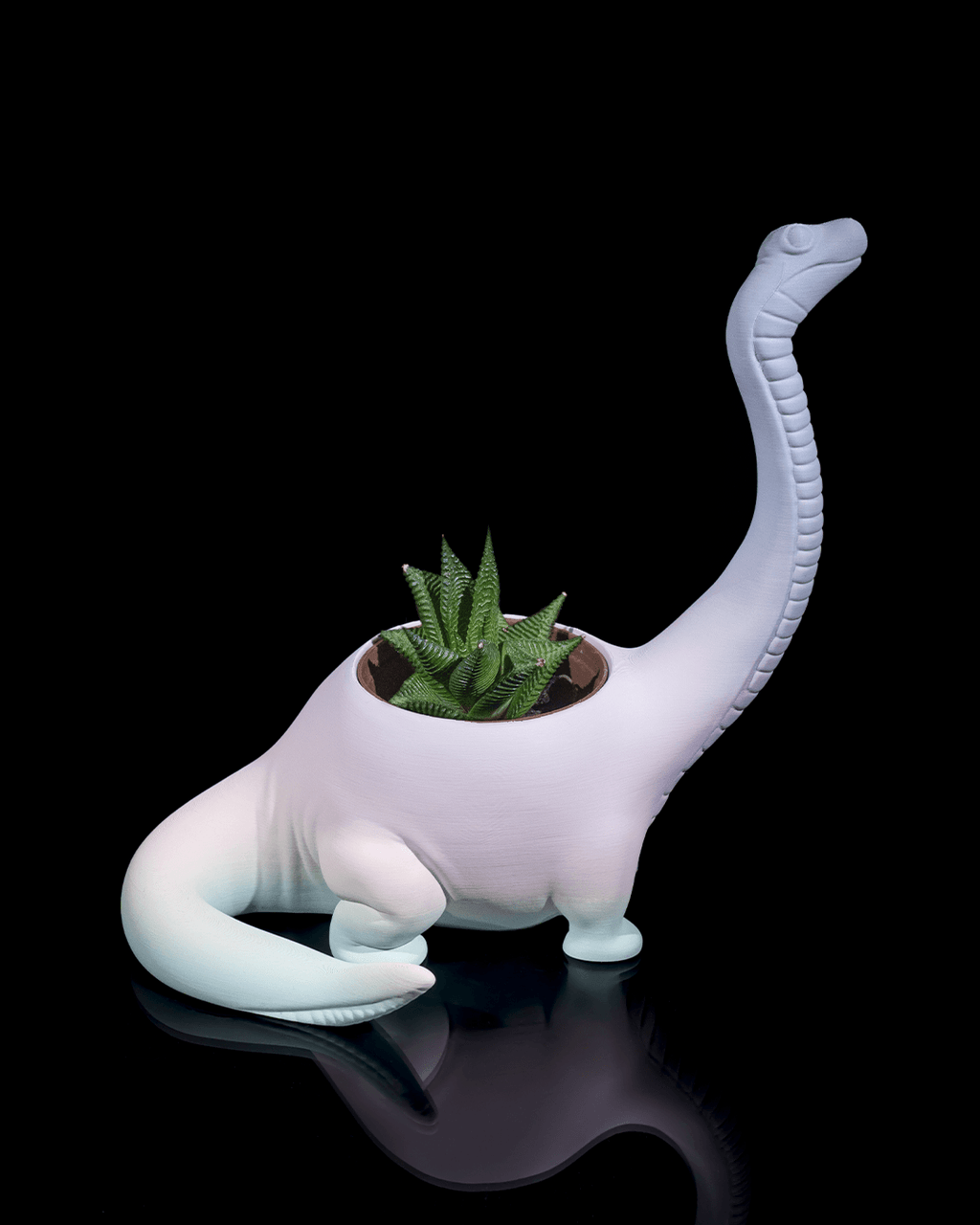 Herbivore Planter - Front