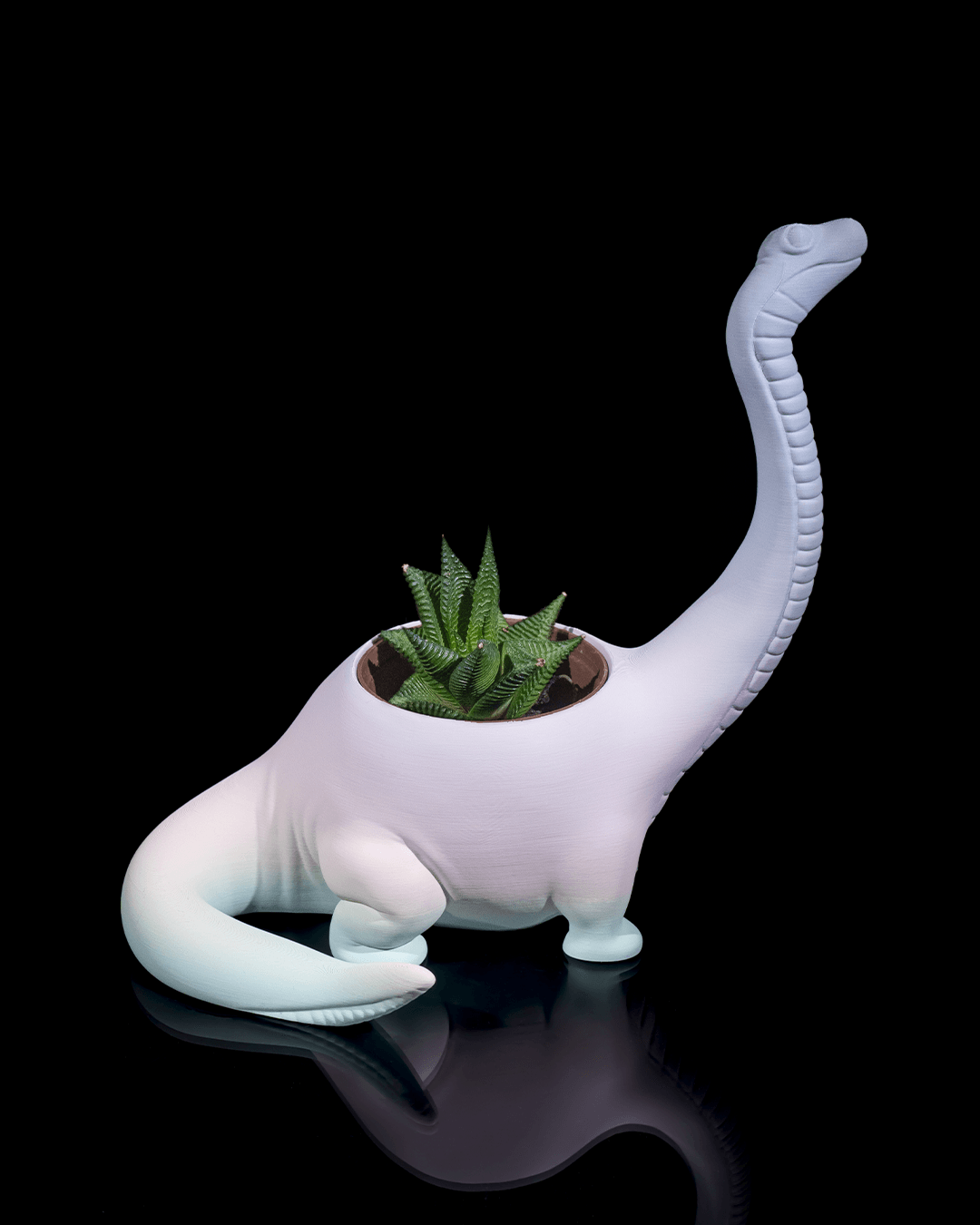Herbivore Planter - Front