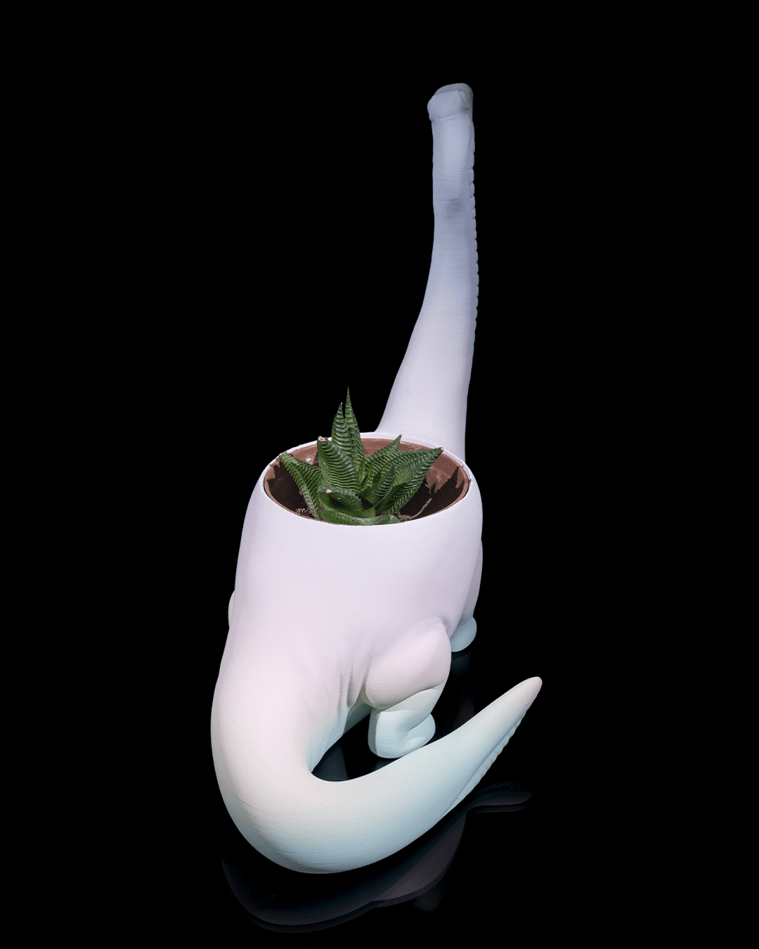 Herbivore Planter - Front