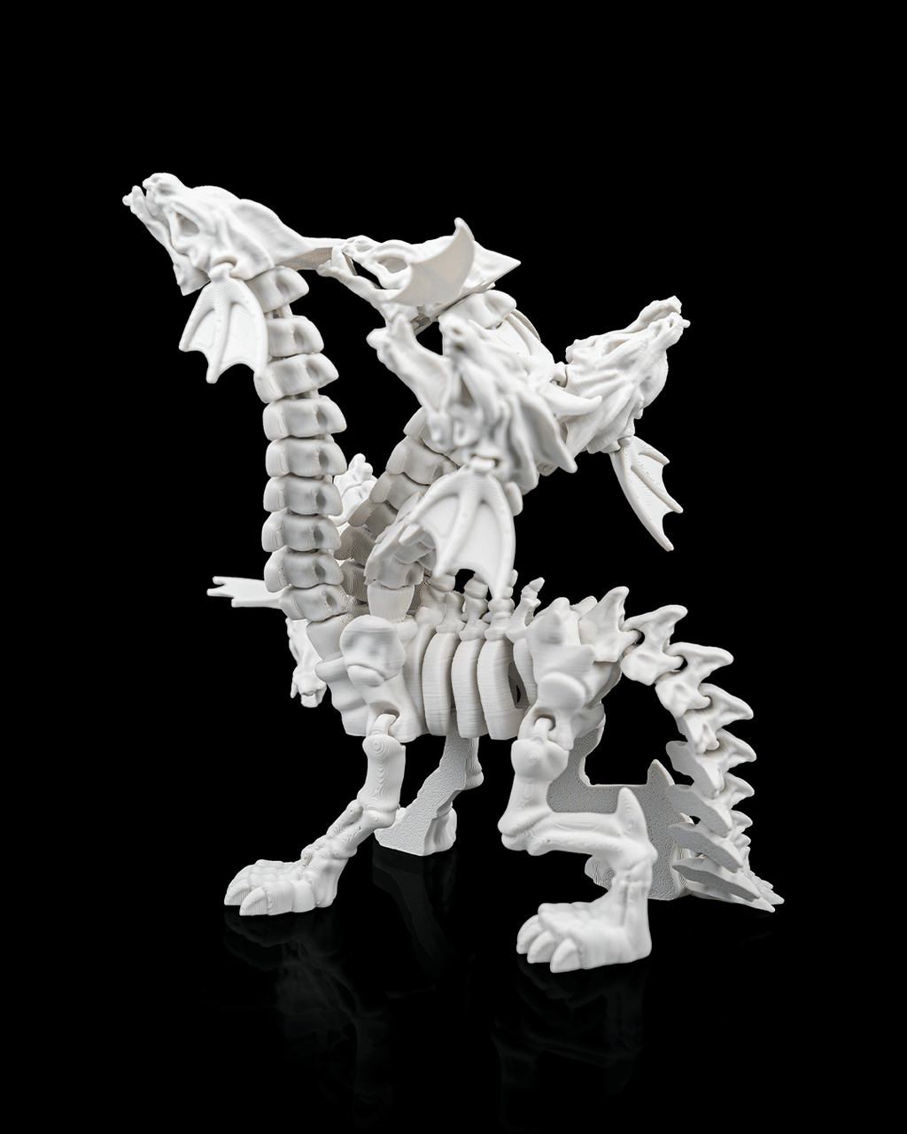Hydra Skeleton