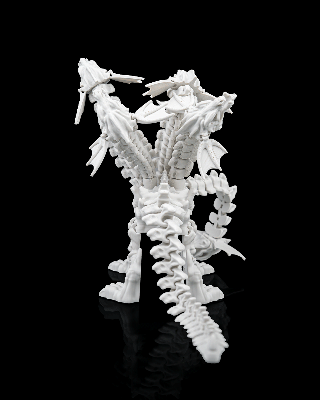 Hydra Skeleton