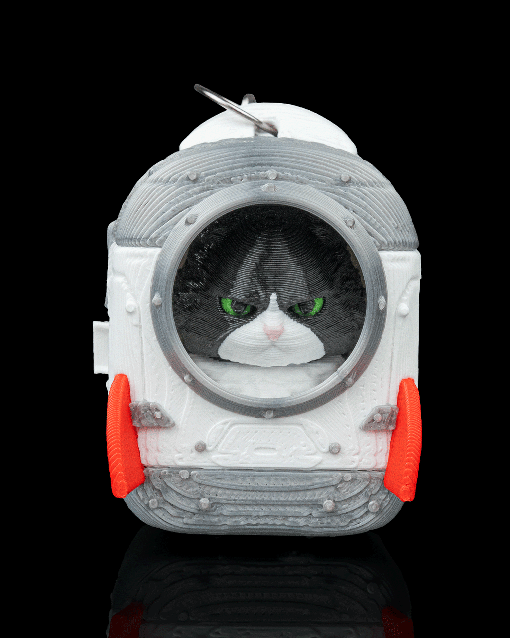 Launch Pack - Maine Coon