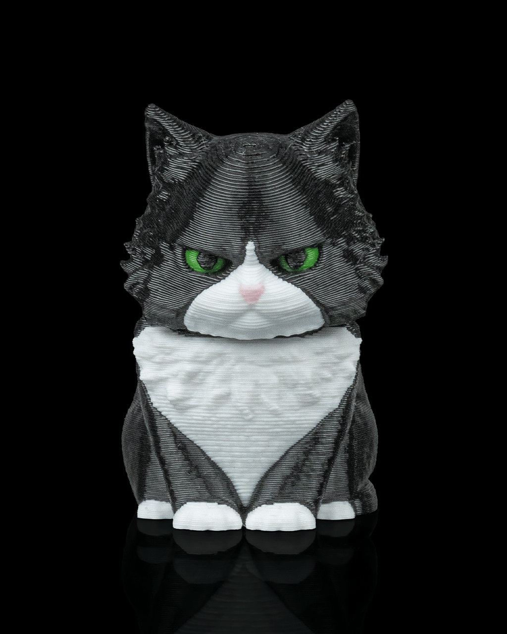 Launch Pack - Maine Coon