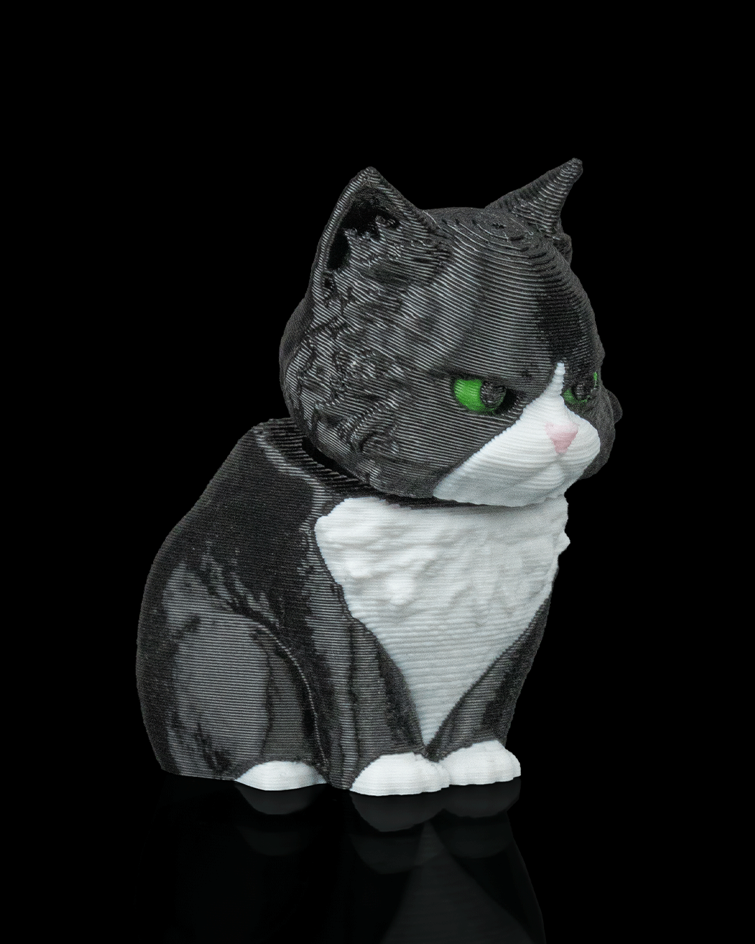 Launch Pack - Maine Coon