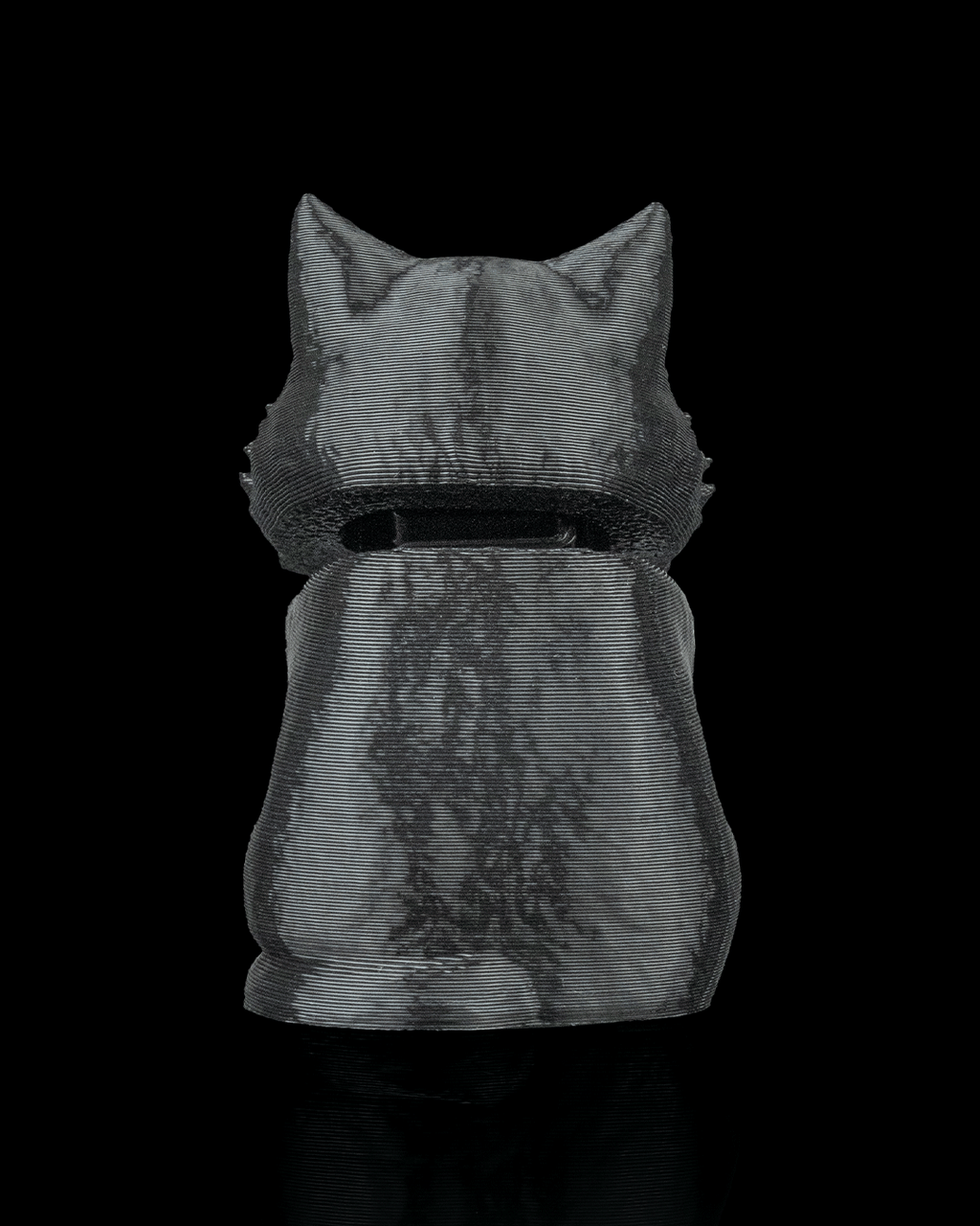 Launch Pack - Maine Coon