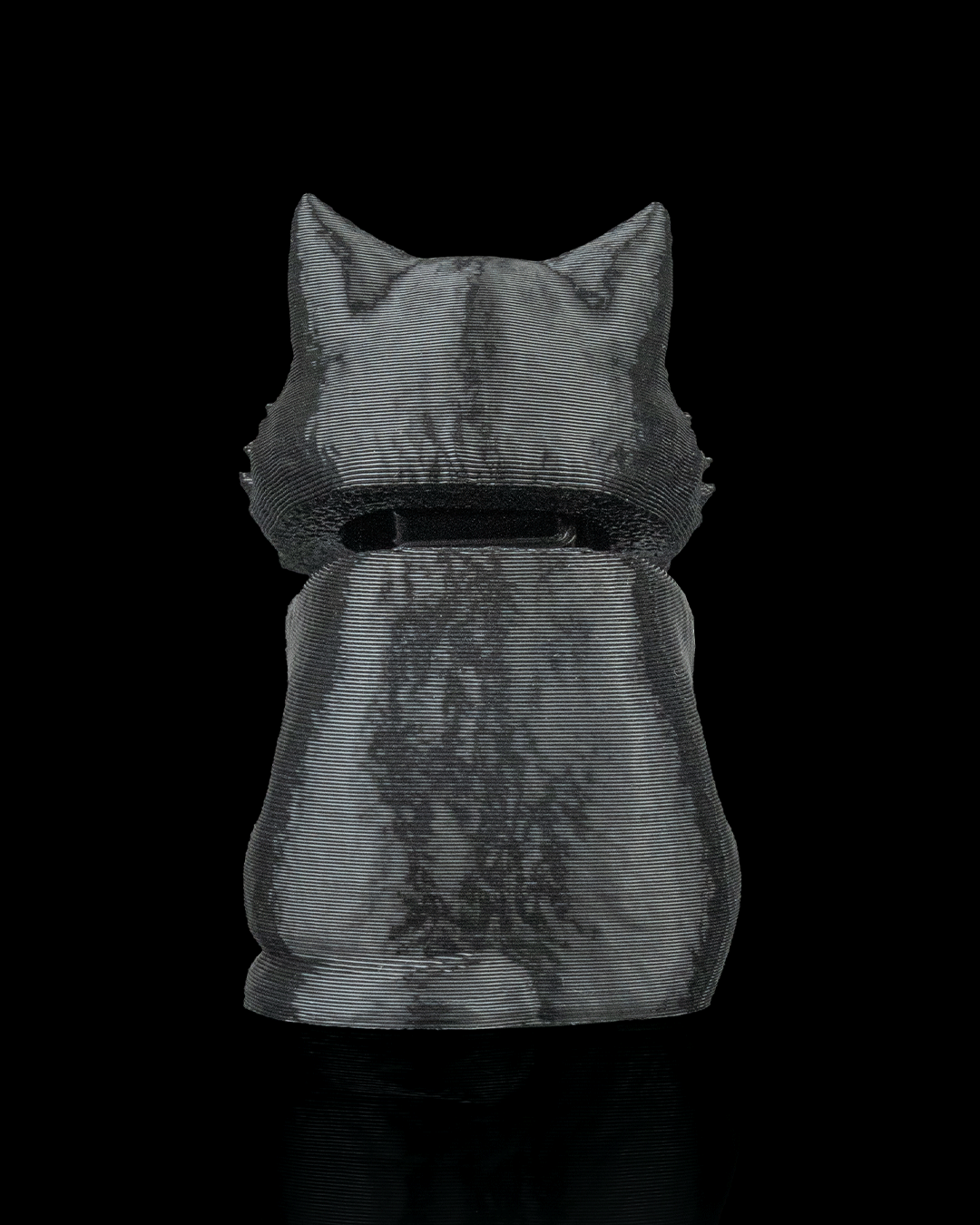Launch Pack - Maine Coon