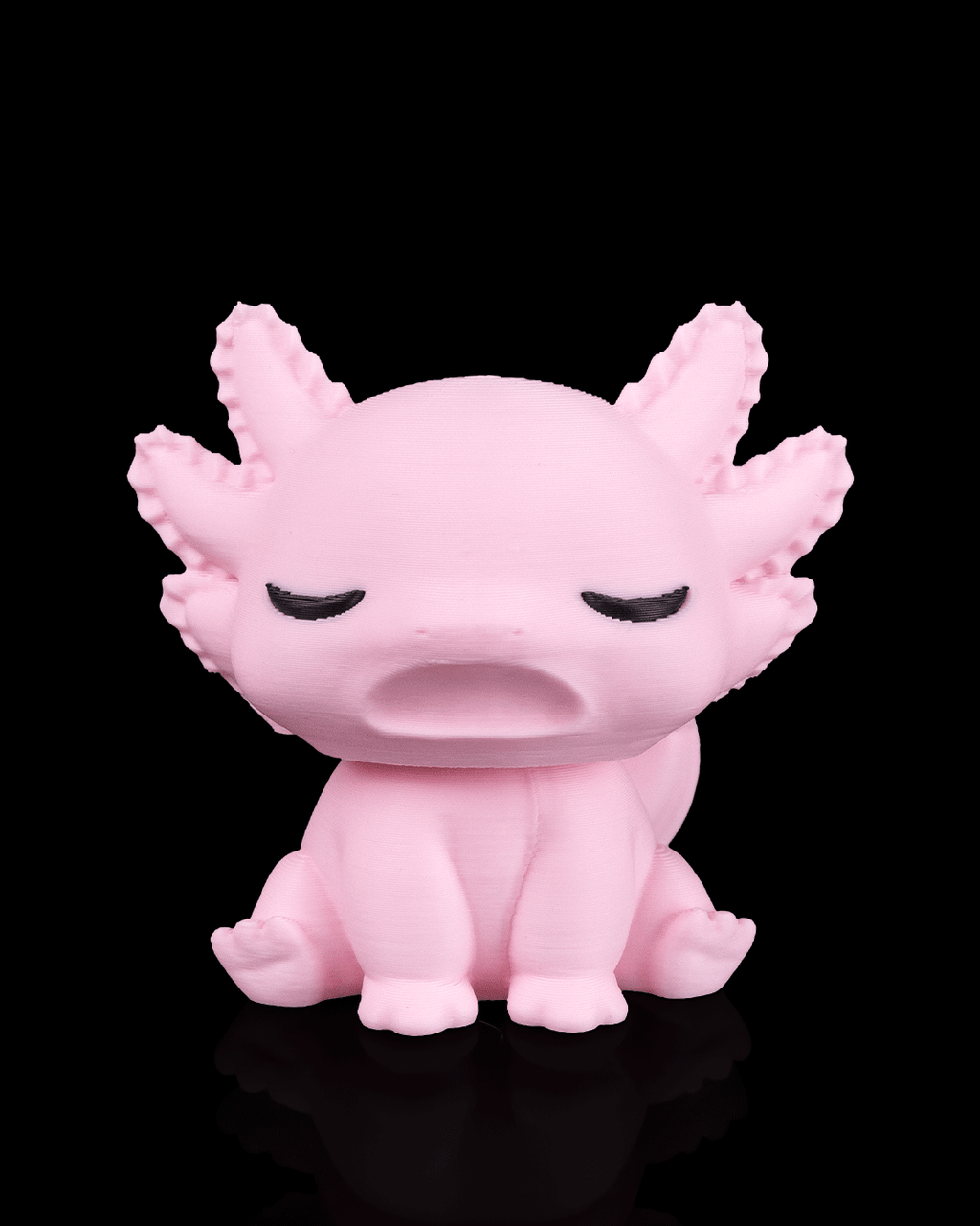 Axolotl endormi
