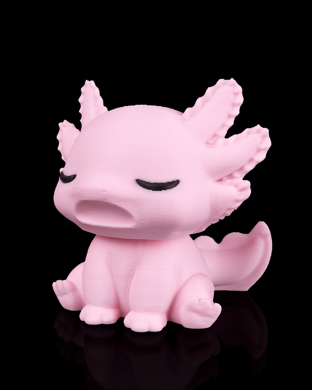 Axolotl endormi