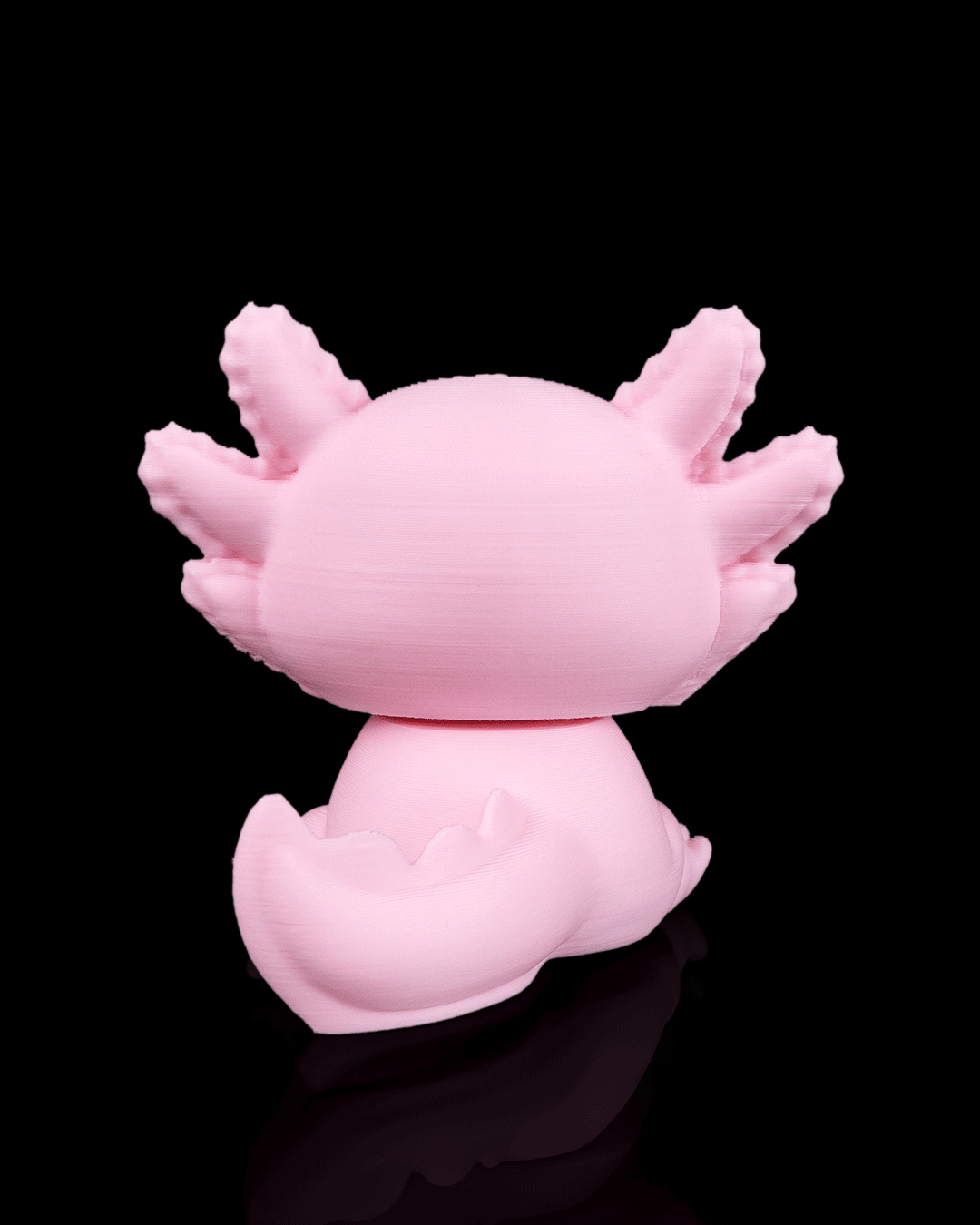 Axolotl endormi