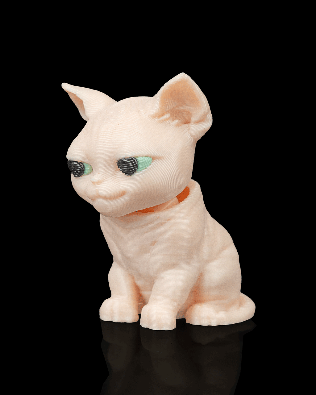 Stitched Pack - Sphynx