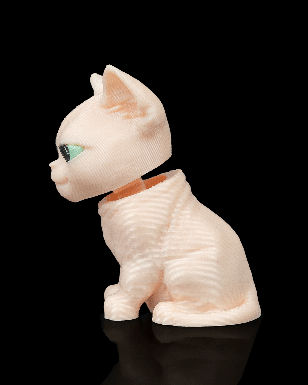 Stitched Pack - Sphynx