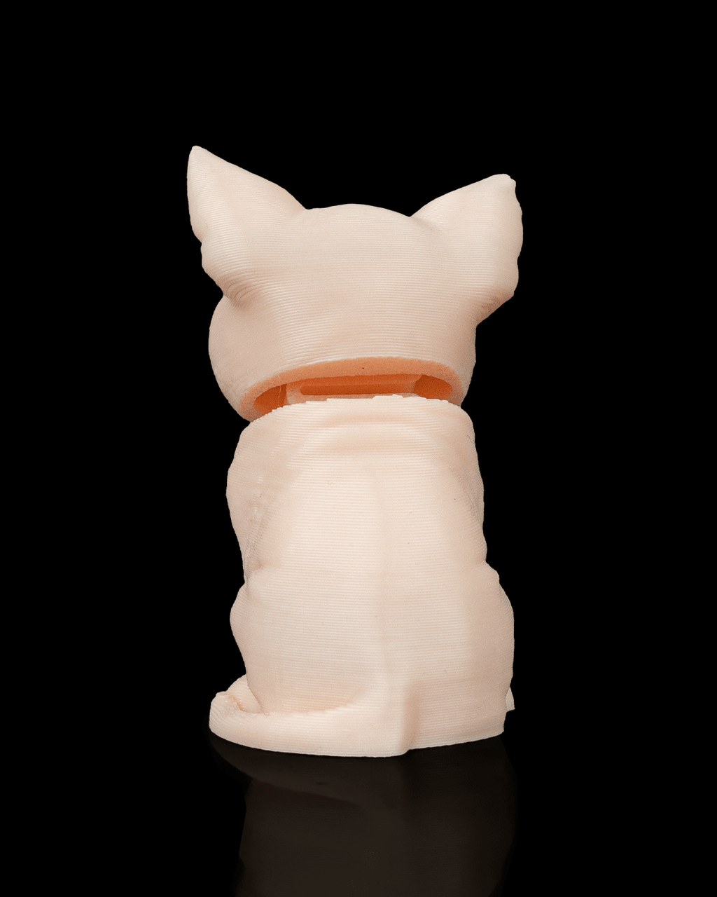 Stitched Pack - Sphynx