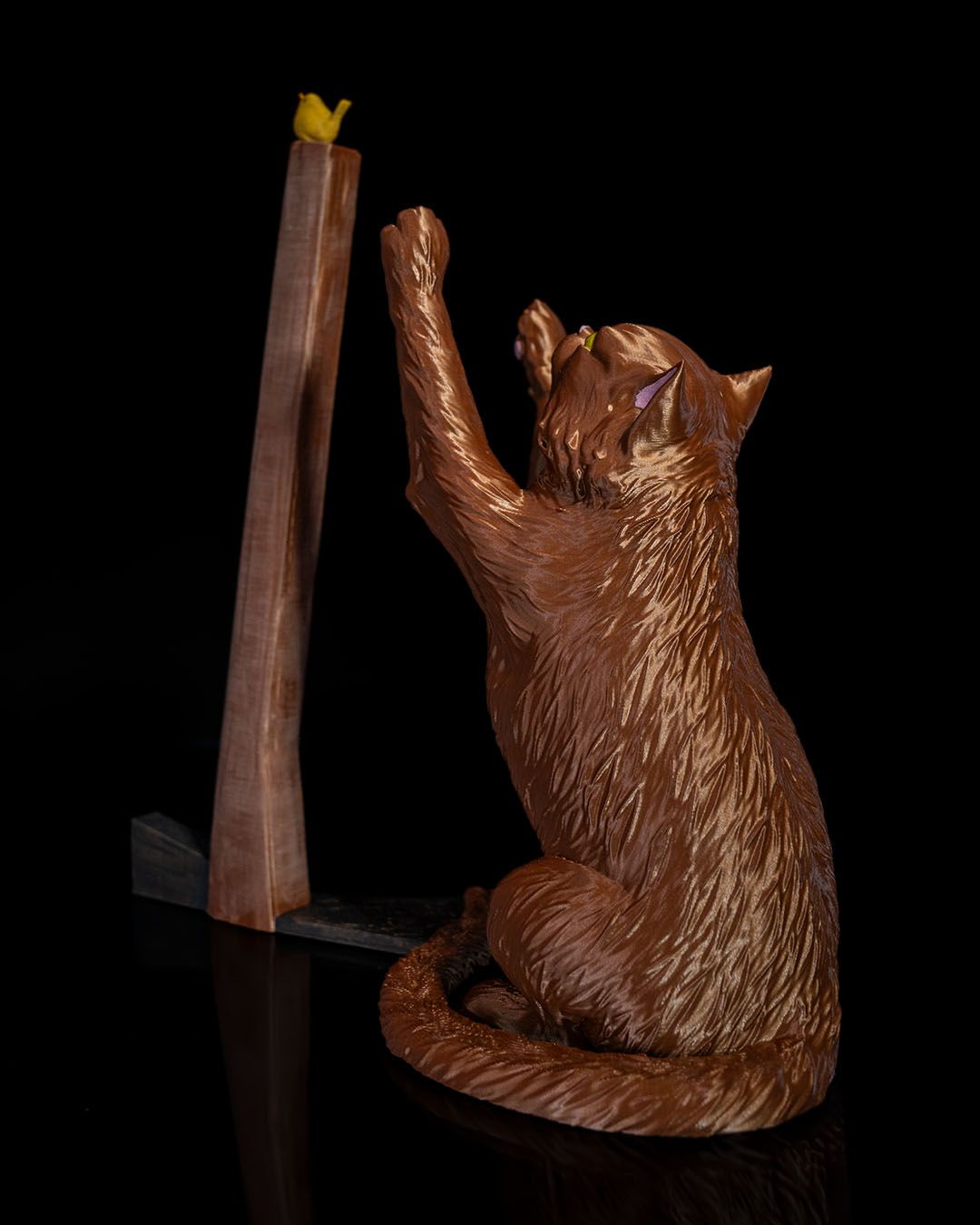 Le Chat, l'Oiseau et l'Essuie-tout