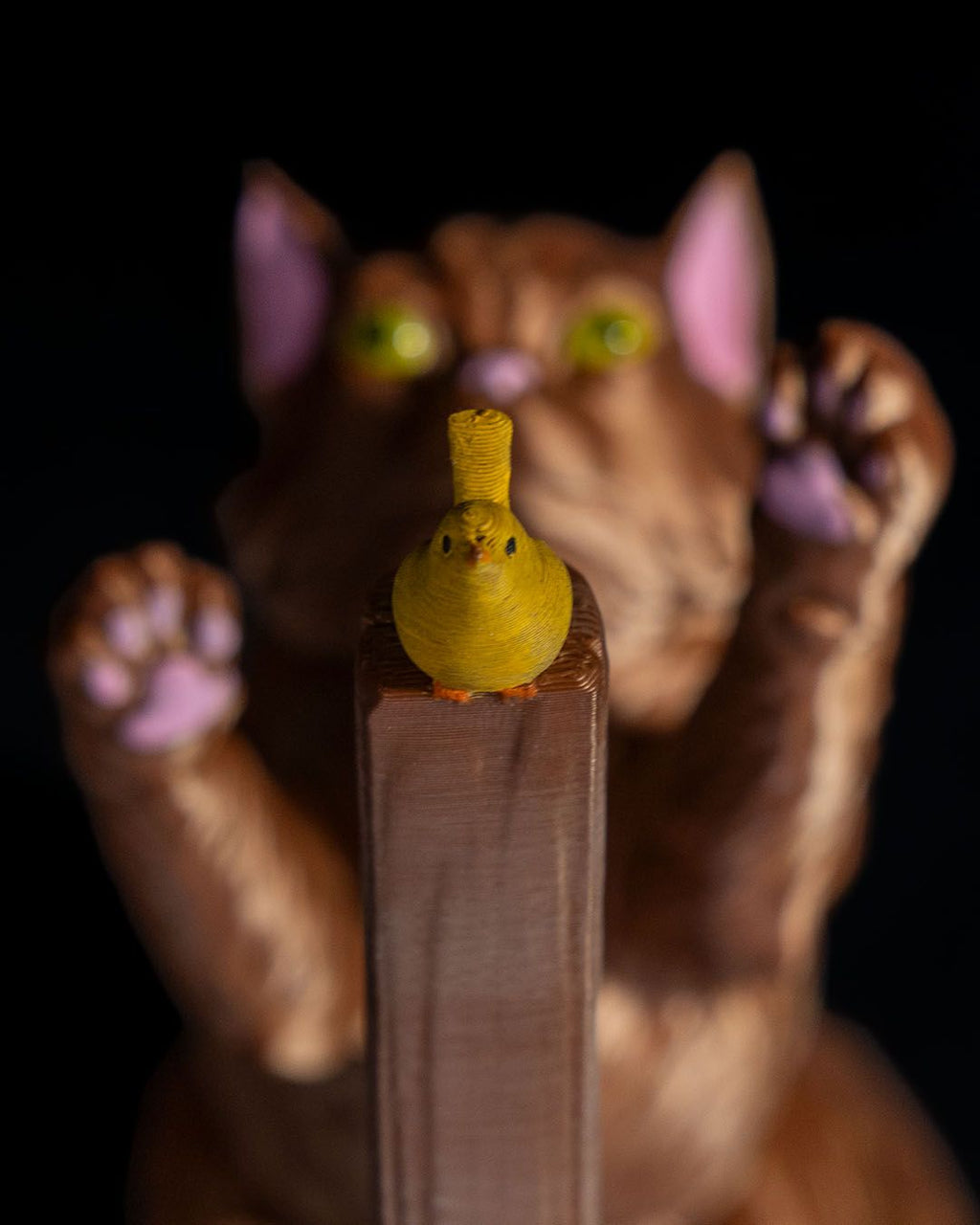 Le Chat, l'Oiseau et l'Essuie-tout