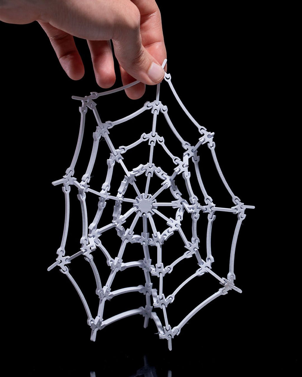 The Spider’s Web