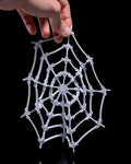 The Spider’s Web