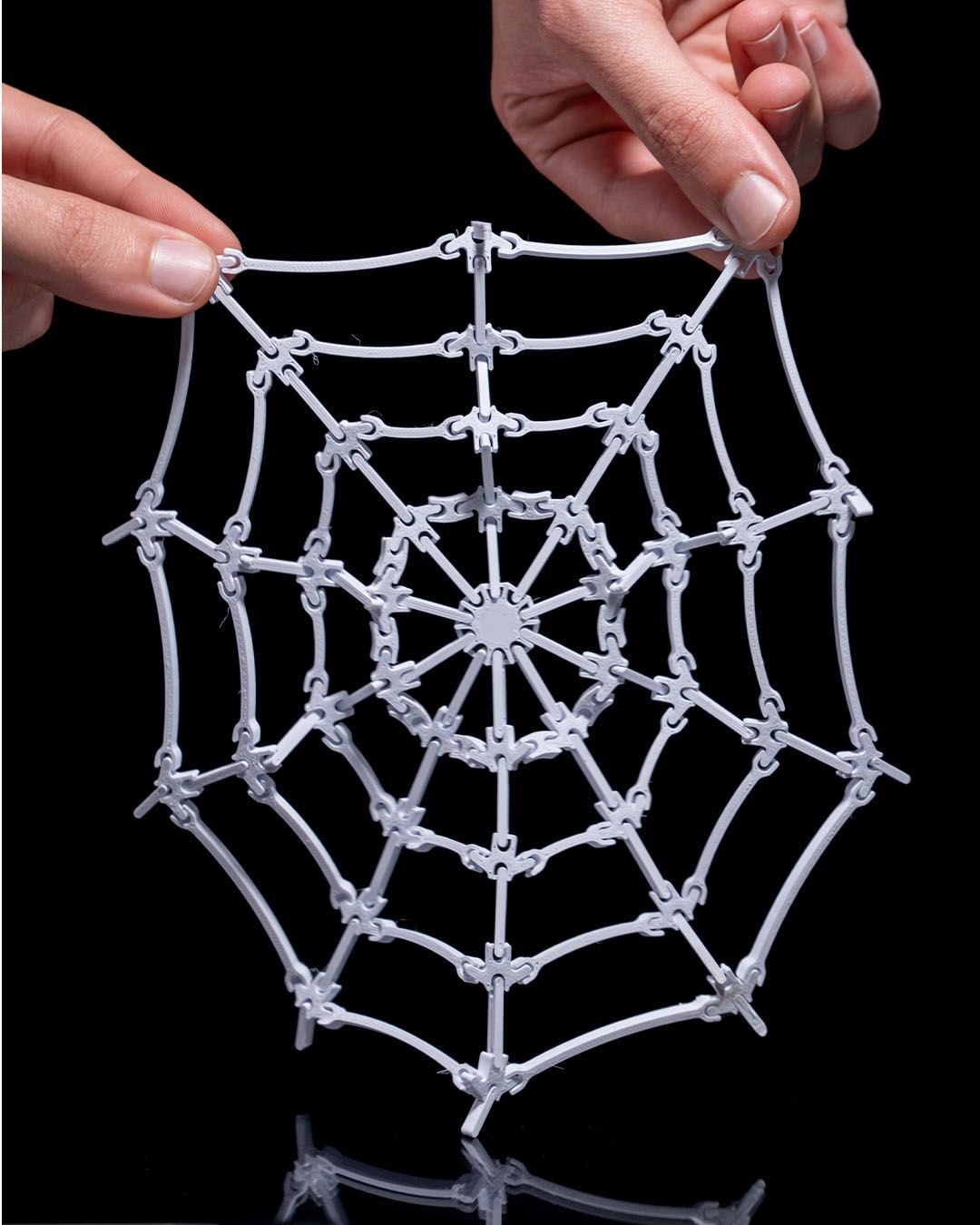 The Spider’s Web