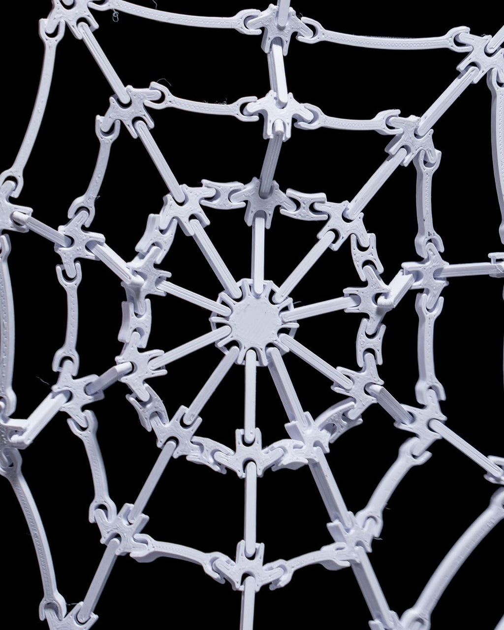 The Spider’s Web
