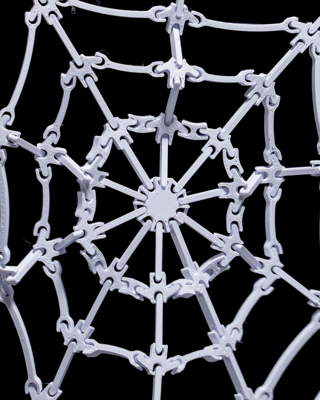 The Spider’s Web