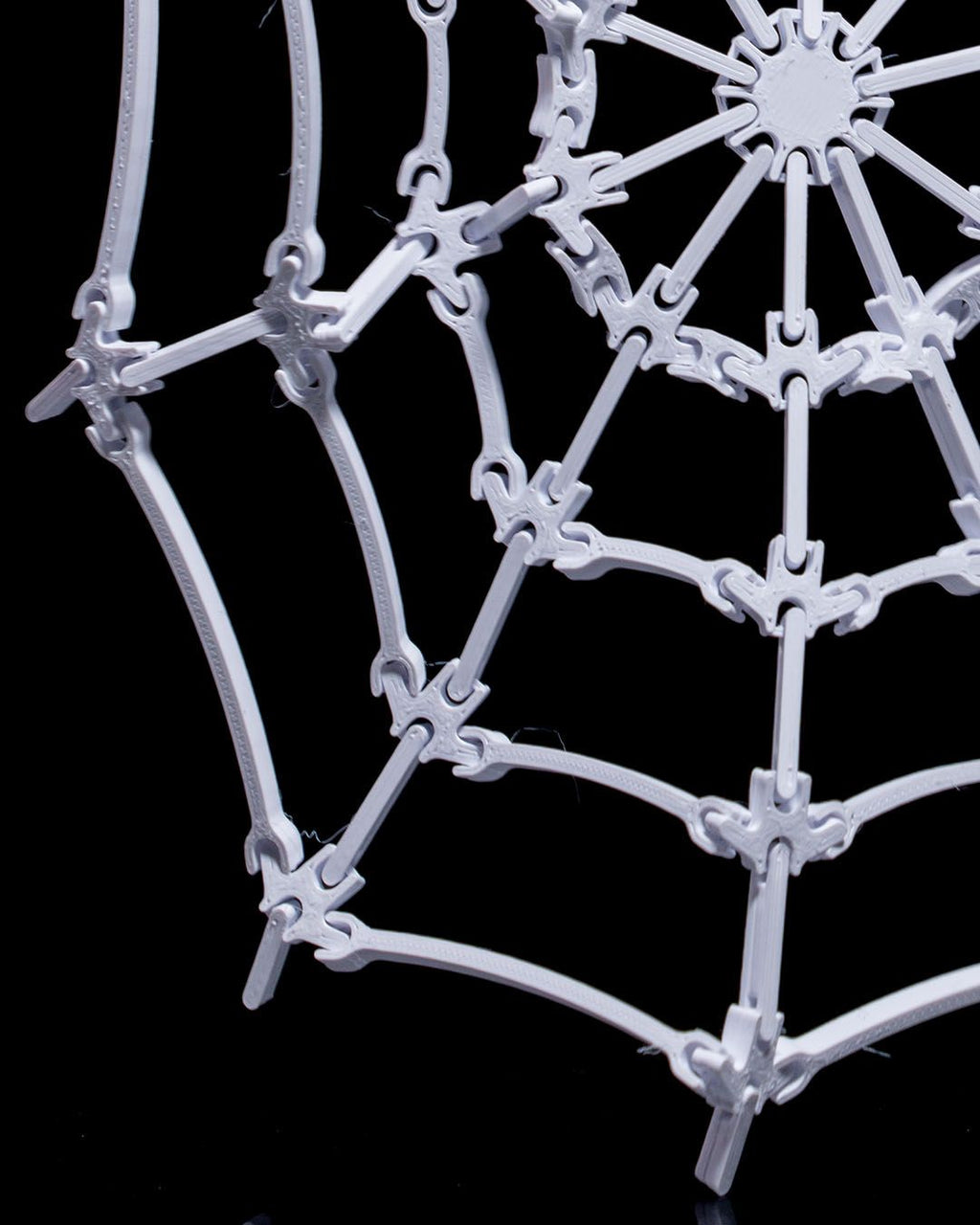 The Spider’s Web