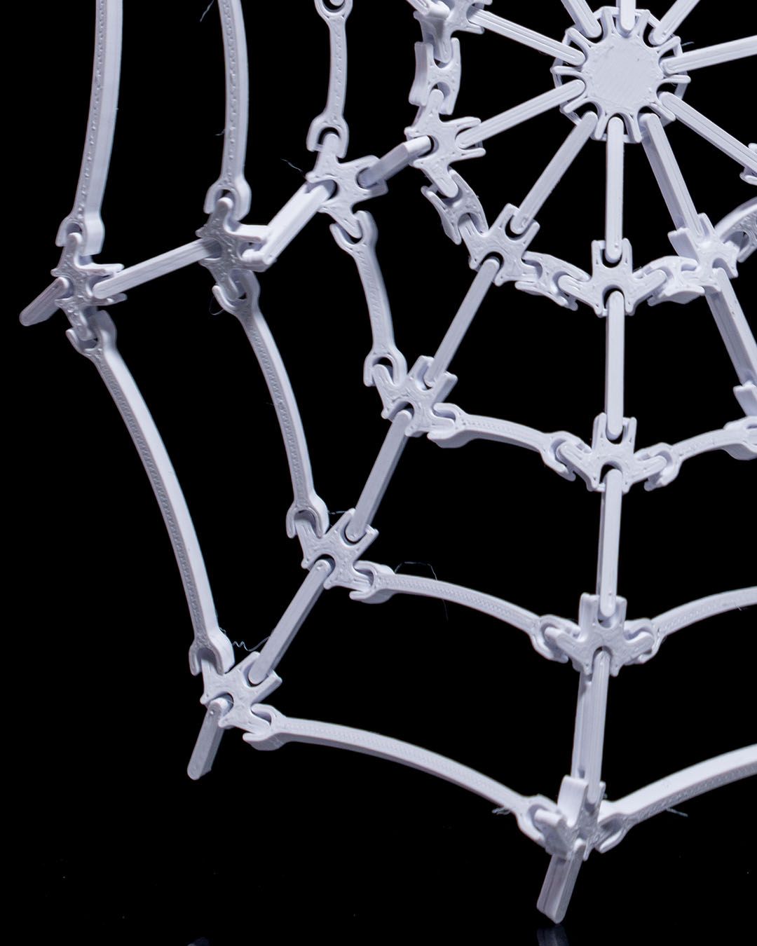 The Spider’s Web