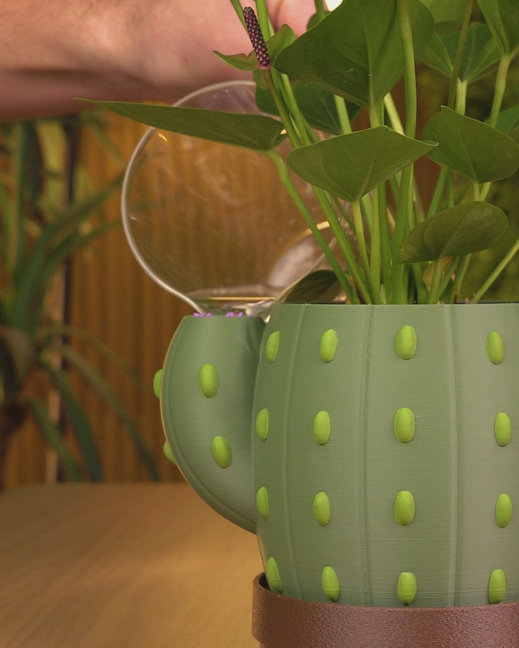 Bloom Signal - Planter