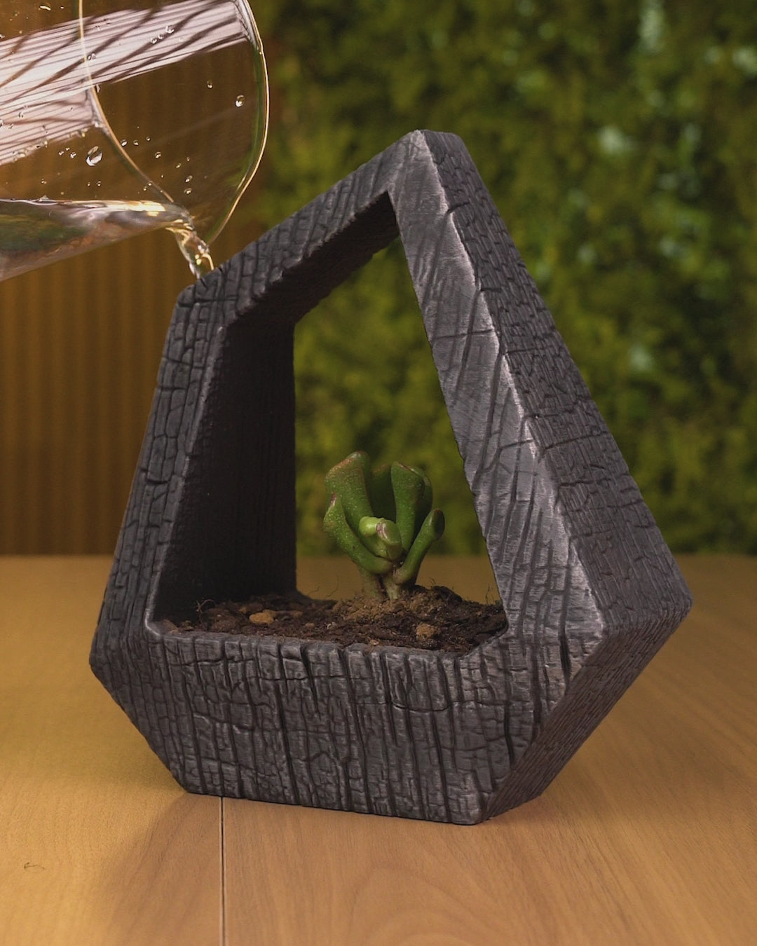 Obsidian Frame - Self-Watering Planter